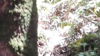 There Were Bear Claw Marks