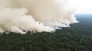 The situation is worsening; this is one of the forest fires in Indonesia—