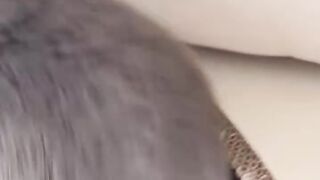 Cat Purring on Chest
