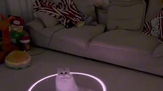 Cat Purring loudly