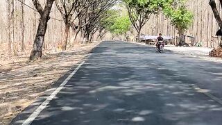 Scenic Paved Road Through a Dry Forest with Tall Trees Under a Clear Blue Sky