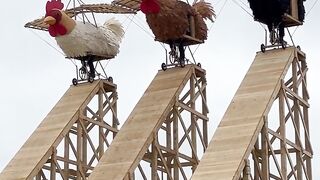 Giant Chicken Festival
