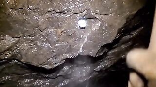 Cat Playing in Tunnel 2