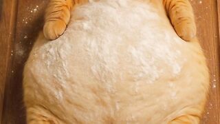 Cat Carrying a Toy
