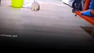 Wow amazing good shot