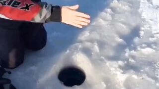 Funny fish