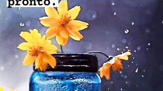 A vida tem que ser vivida