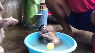 Bita halping dad bathe the kids is so cute