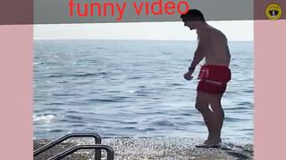 Funny animal funny cats dogs funny animal video