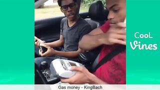 Vines Part 1