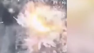Ukrainian artillery wipe out 20 Russian soldiers hiding out in Soledar
