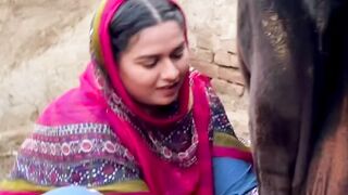 Cow Milking in Village   #shorts #shorts