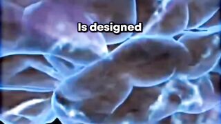 Human brain is designed for????