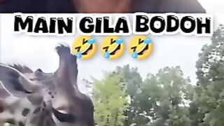 Link video leak news