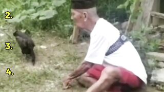 The Funniest Moments Ever! 😂 (Top 5 Compilation)
