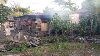 A Rooster Crows beside the puff of smoke