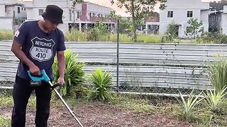 Mowing the lawn, guys