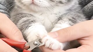 This good kid is so smart! He cuts his nails so calmly without any drama, and his gaze makes me melt even more 🥺💖