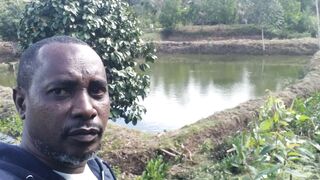 Tilapia 2