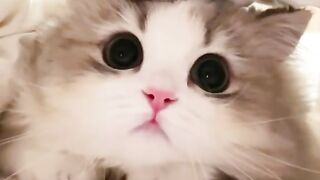 Be careful, you'll get emotional if you see them peeking like this! 🥰"
