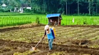 Peaceful Farming Life in the Field