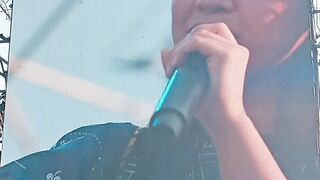 Vibe the concert