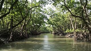 Beautiful Bangladesh