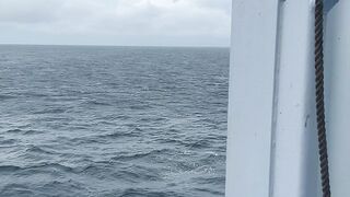 Beautiful Ocean View from a Ship | Peaceful Sea Journey