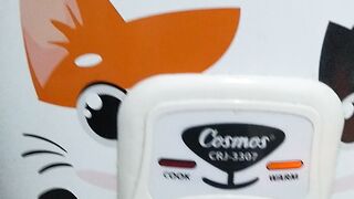Rice cooker