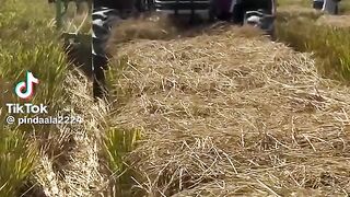 Village thatha Asian Life video of the travel you want to do minutes ma apke you ttt
