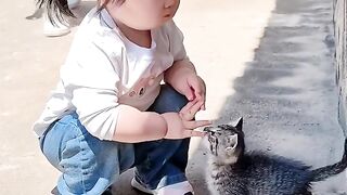 Cat Getting Brain Freeze from Ice Cream!