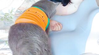 Cat Making Biscuits on a Soft Blanket!