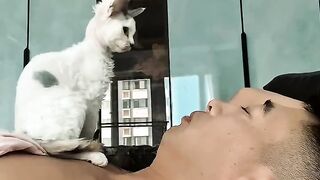 Cat Enjoying a Gentle Brushing! ASMR!
