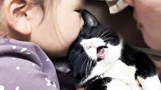 Cat Meowing "Hello"! Talking Pet!