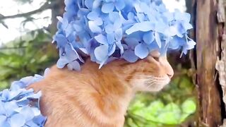 Cat Protecting Owner from a Bug!