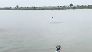 Fish jumping in water highest point in the year you