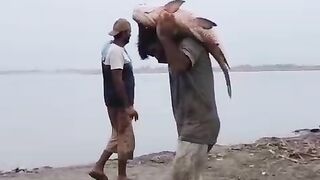 Big fish jumping in the shower and three yyyyt