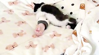 Cat Meets a Mirror for the First Time!