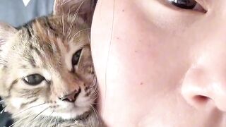 Cat Watching a Horror Movie!
