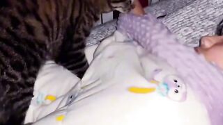 Cat Waking Up Slowly in the Sun!