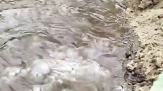 Relaxing Nature Sound.
