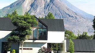 Mount sinabung with lavender field