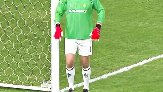 Edwin van der Sar - The Goalkeeper Who Saved Everything | Legendary Saves