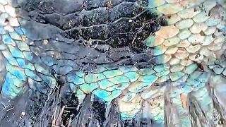 Сегодняшний день был потрясающим.
