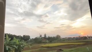 A Scenic Train Journey Through the Rice Fields