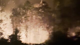 Kalimantan is burning