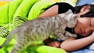 Cat Jealous of the New Baby! 2