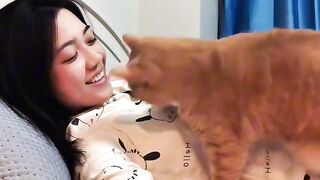 Cat Staring at a Ghost in the Corner? 2