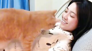 Cat Enjoying a Sunbeam! Aesthetic Video! 2