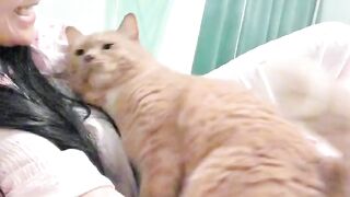 Cat Escaping from a Locked Room! Genius! 2
